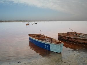 Déménagement Sénégal