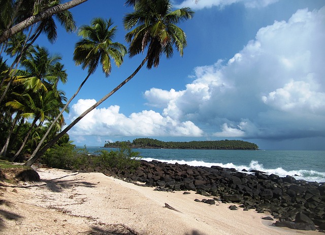 Déménagement-Guyane