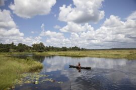 guyana-80836_1280