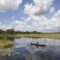 guyana-80836_1280