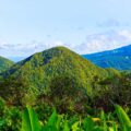 guadeloupe-6802957_1280 (1)
